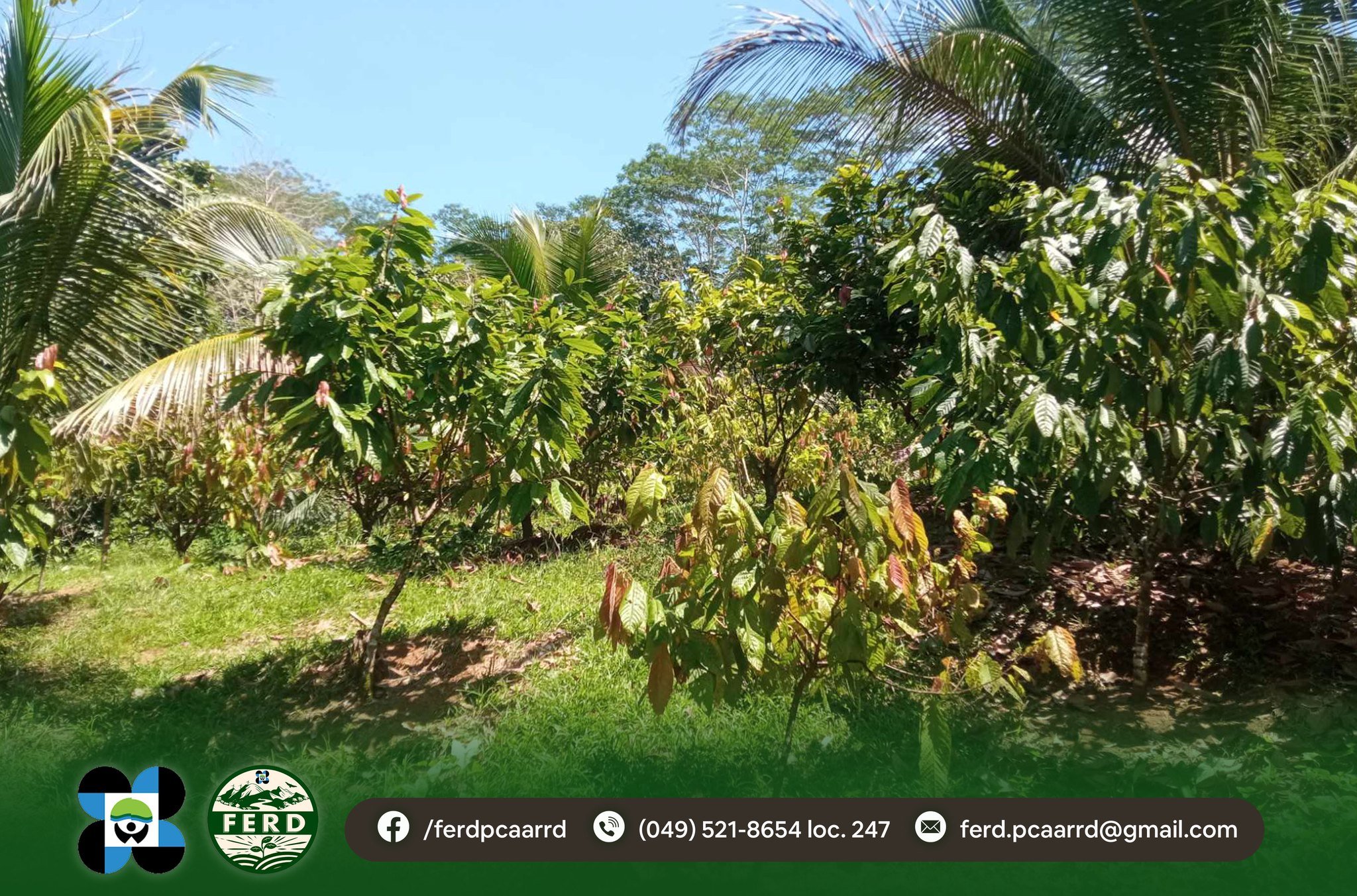 481079773_1149849183507927_9218422109089794029_n