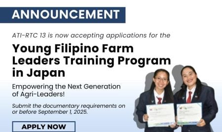 Search For The Young Filipino Farm Leaders Training Program in Japan (YFFLTPJ)